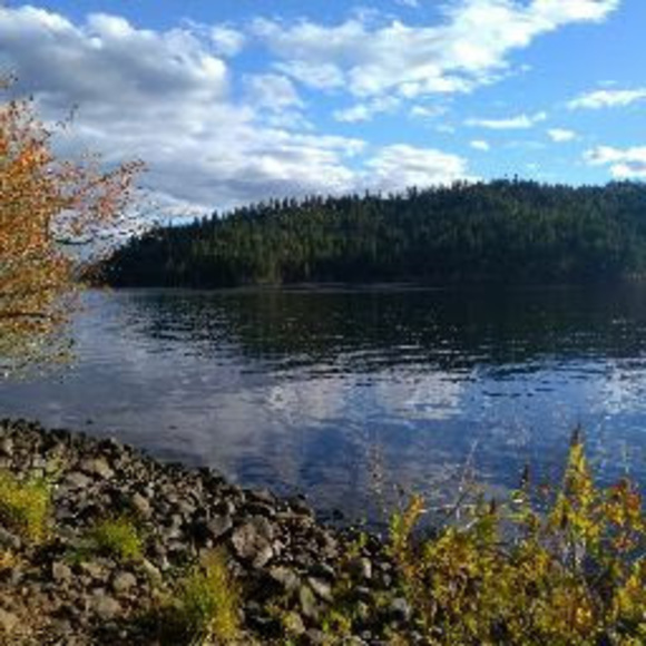 Meet your Posher, Shanoa - Picture 1 of 1